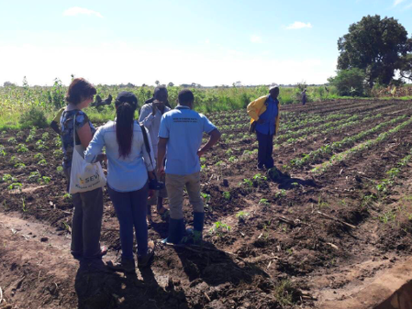 Interviewing vegetable farmers in Babati, Tanzania